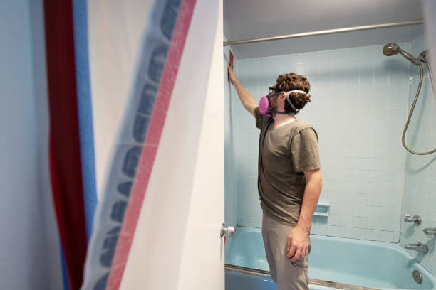 Best Emergency Mold Remediation  in Champlin, MN