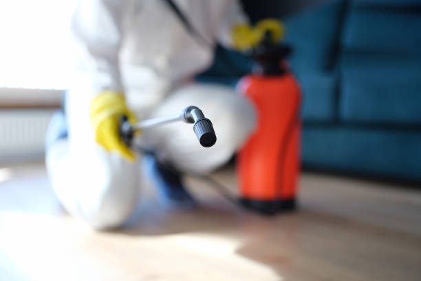 Best Asbestos and Lead Testing During Mold Inspection  in Champlin, MN