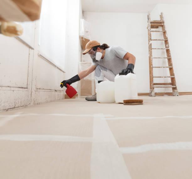 Best Post-Construction Mold Inspection  in Champlin, MN